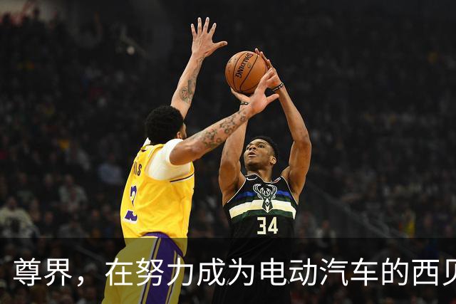 尊界，在努力成为电动汽车的西贝